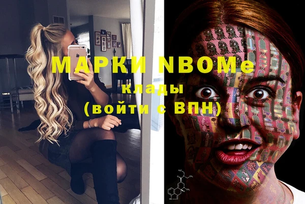 мет Няндома