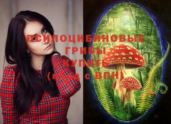 мет Няндома