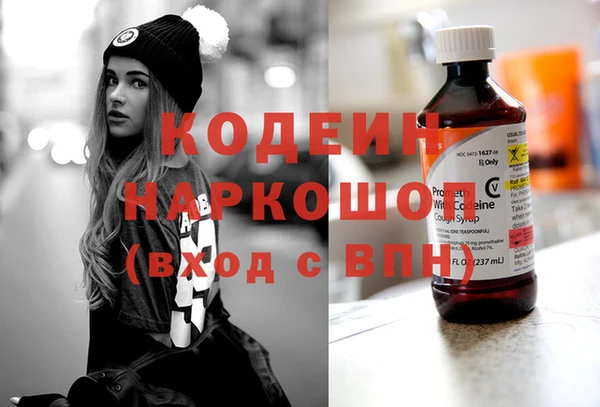 мет Няндома