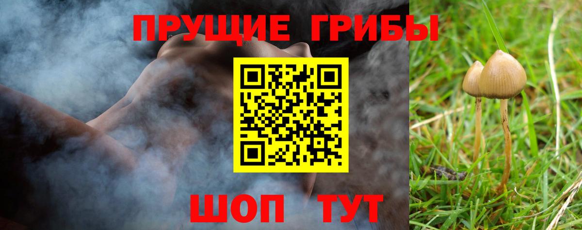 Первоуральск  Псилоцибиновые грибы Psilocybine cubensis  Вход с VPN 